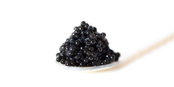 Caviar Caviar
