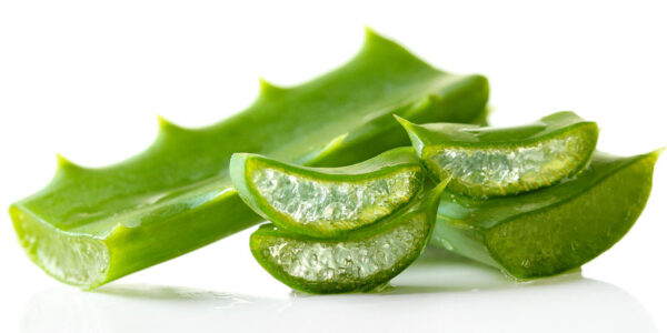 aloevera-1 aloevera-1